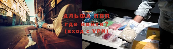 амф Заволжск