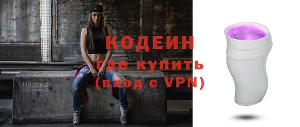 хмурый Елизово