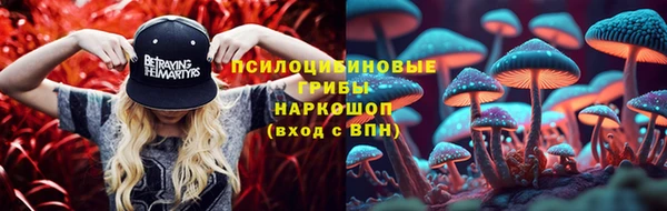 винт Заводоуковск