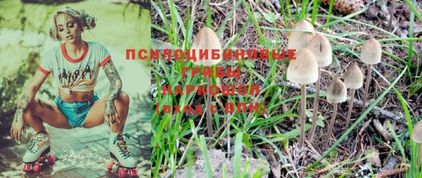 спиды Заволжье