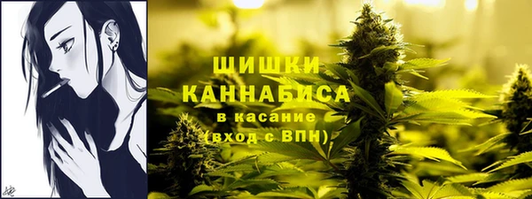 хмурый Елизово